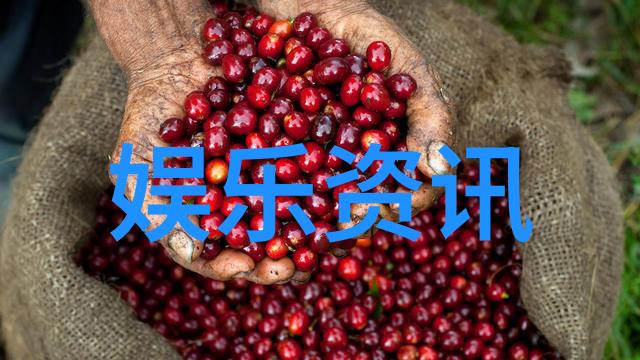 恃宠而骄权力的幻觉与人性的沦丧