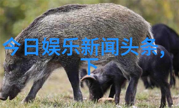 时尚女装搭配艺术夏季清新复古风