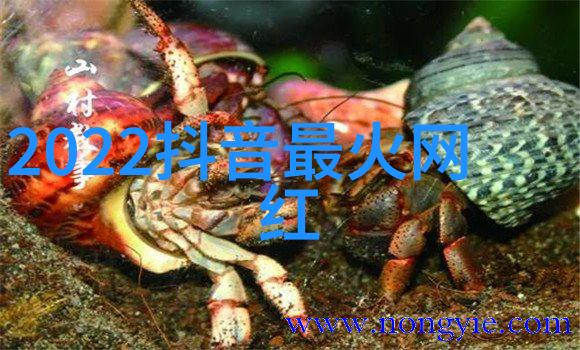 先天八卦与后天八卦方位图的对比研究探索古代占星术中的空间象征与时间意识