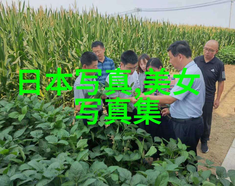 归还行为是否意味着国际法原则得到更广泛认可