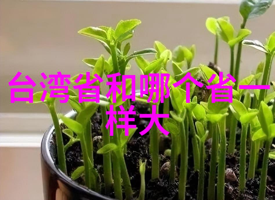 美丽无边探索摄影中女性魅力的艺术与技巧