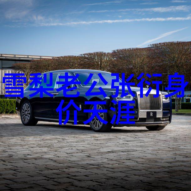 写真是什么啊怎么感觉每天都在重复着一样的文字