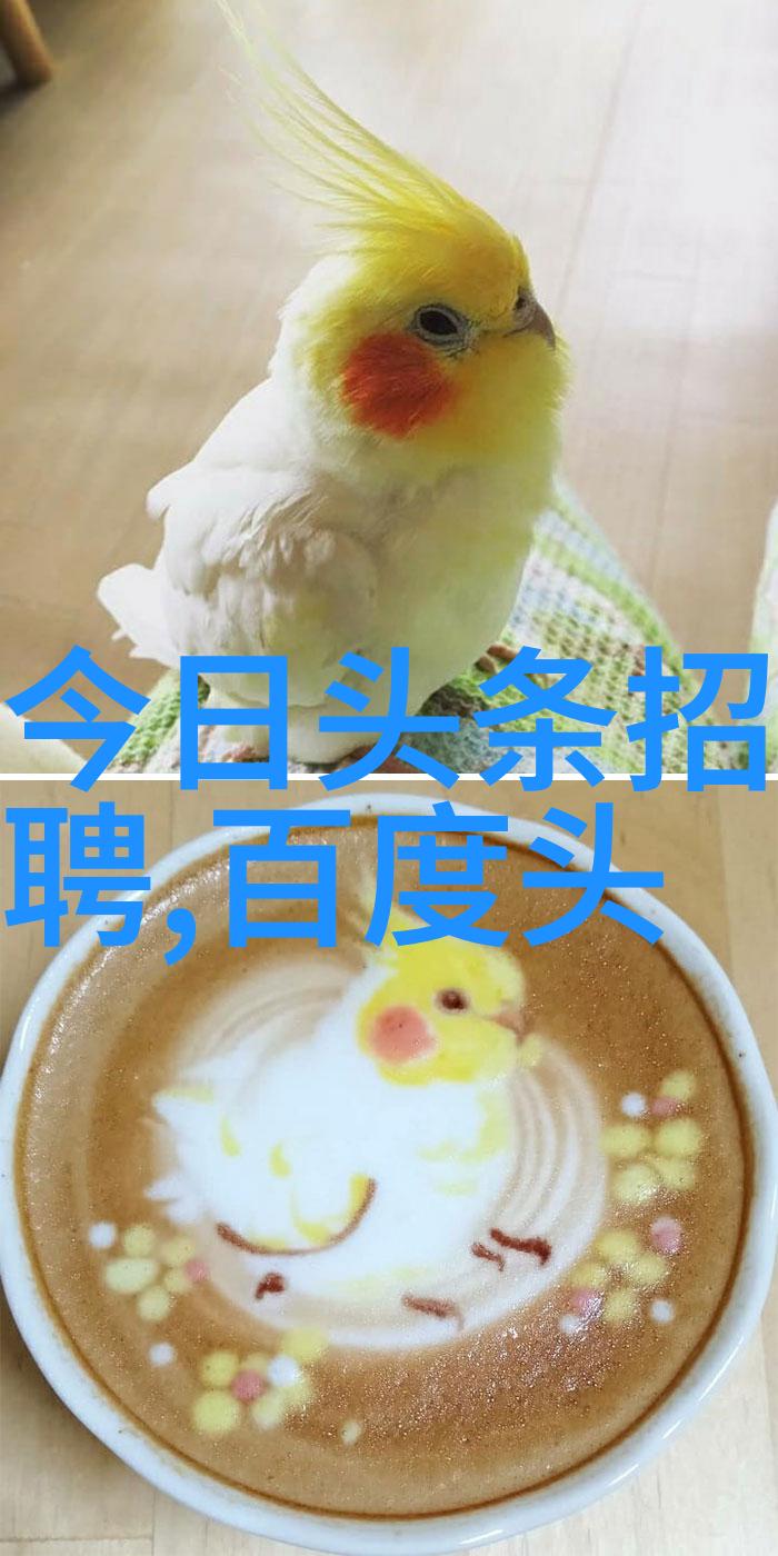 校园旋律小学生心头热曲