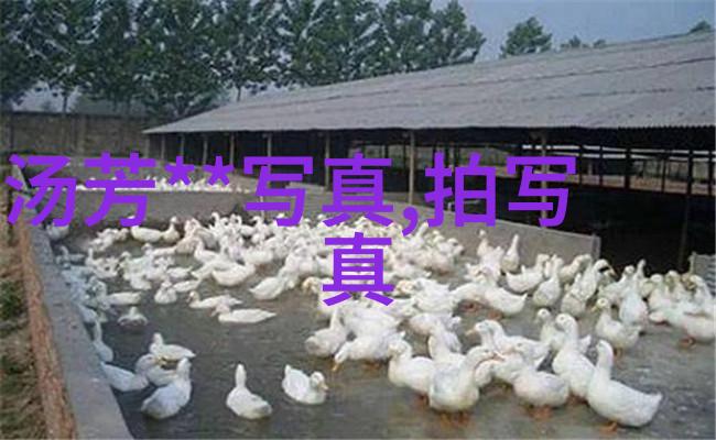 抗战电视剧排行榜血与火经典抗战剧集终极盛宴