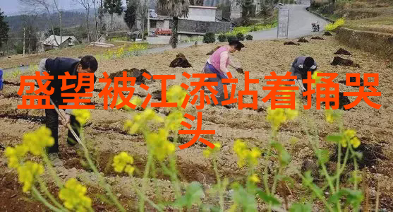 全球足坛盛宴如何上头条直播世界杯大战