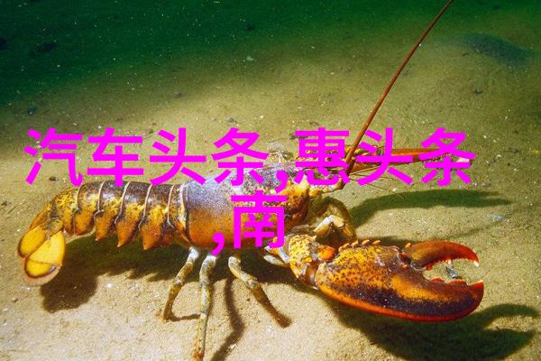 超越界限的盛宴探索非凡娱乐世界的奇迹与魔力