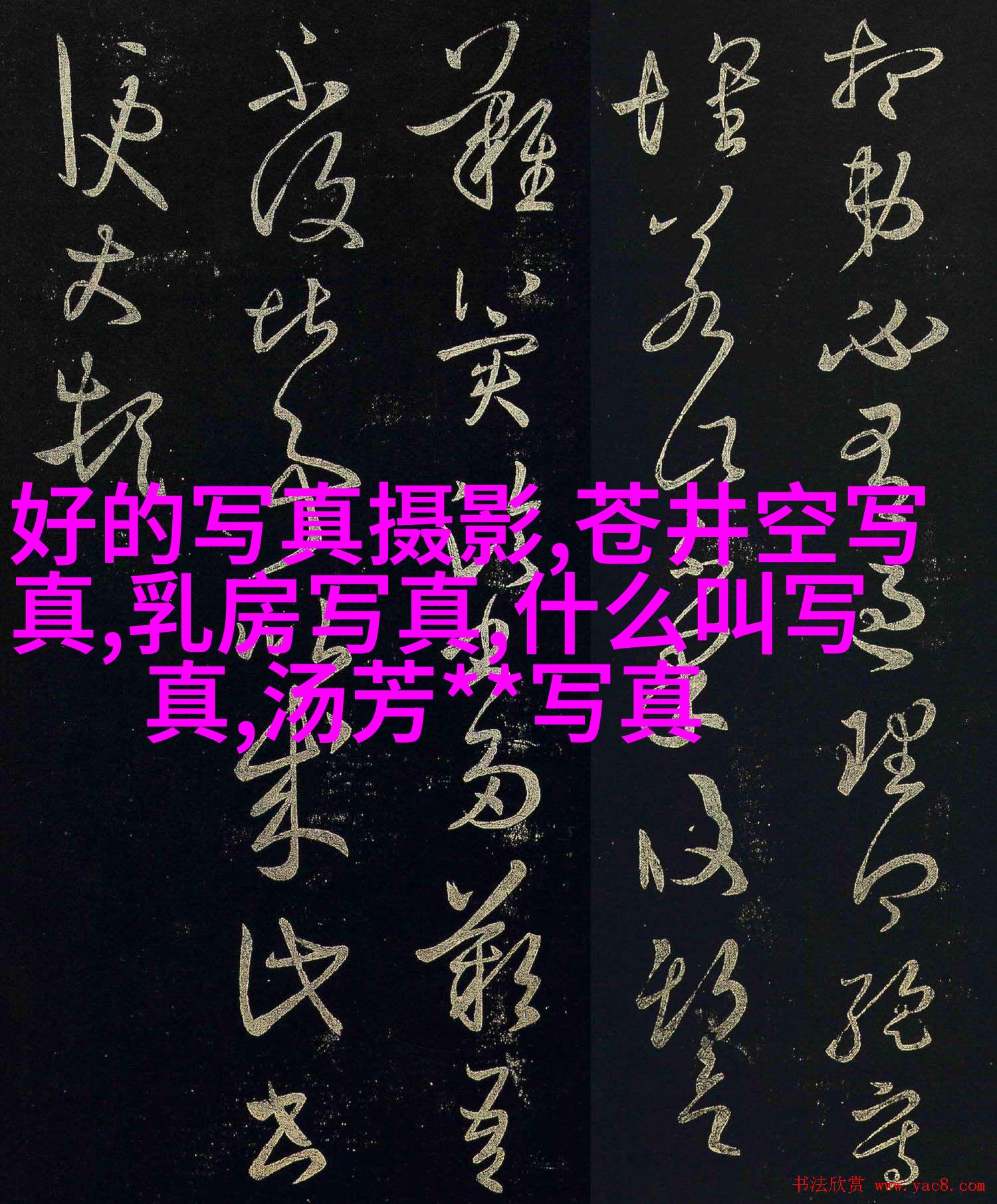 王芳在拍照时的情景