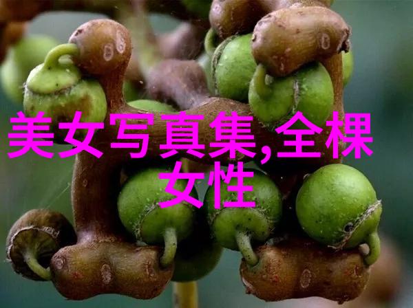 南海归墟20集免费观看花姐影视 雷霆沙赞众神之怒曝超能神力预告 沙赞人生开挂对战复仇女神