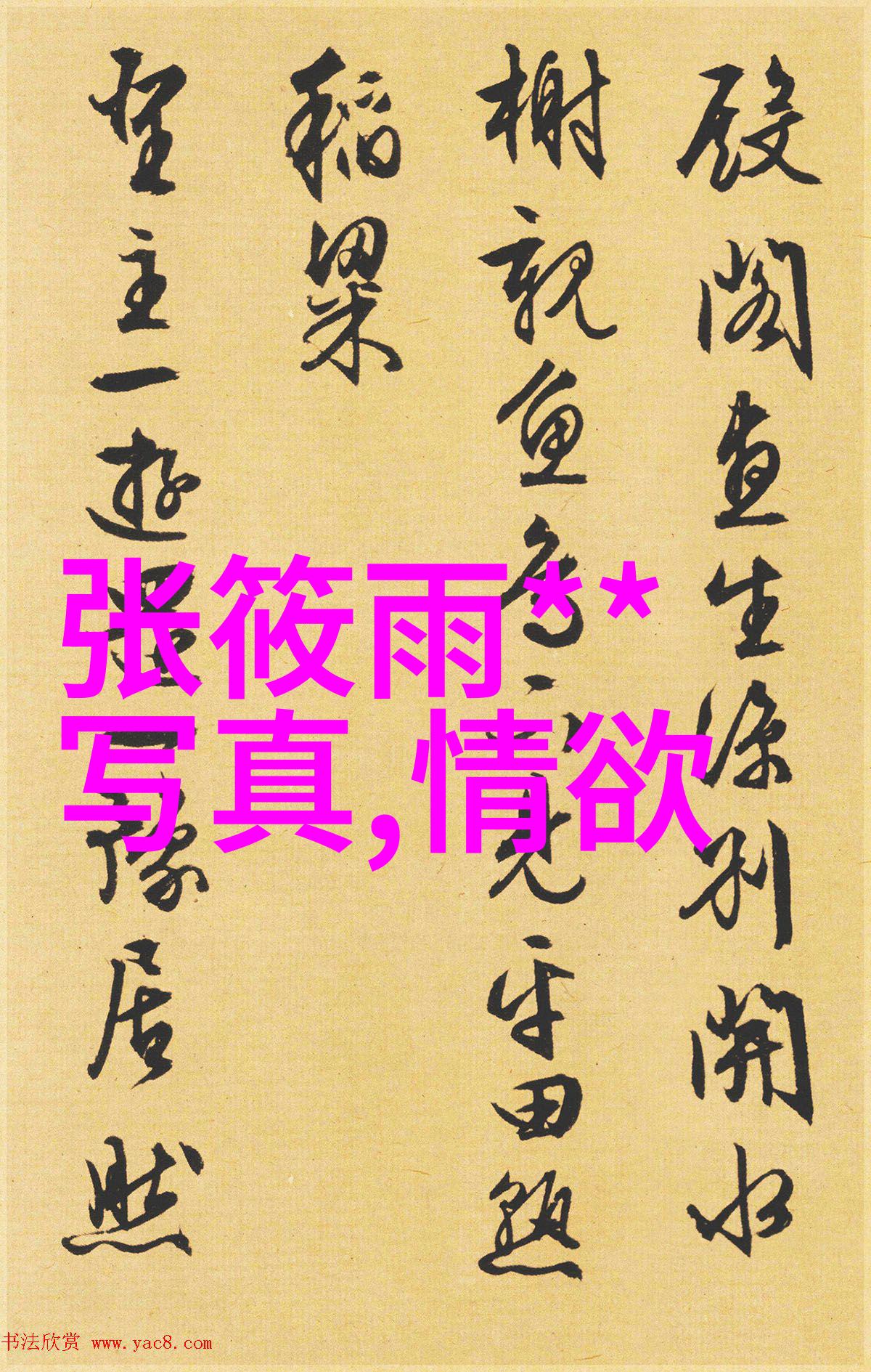 丝袜之美捕捉细腻的艺术瞬间