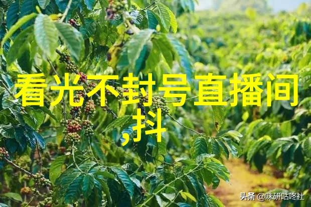 李慧珍助力搜狐新闻雪山行明星登山队一同攀登心灵之峰
