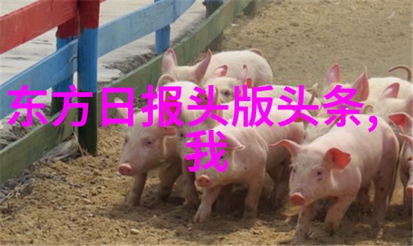 相思令官宣开机杨颖宋威龙首次合作演绎双强斗爱偷偷藏不住电视剧全集免费观看