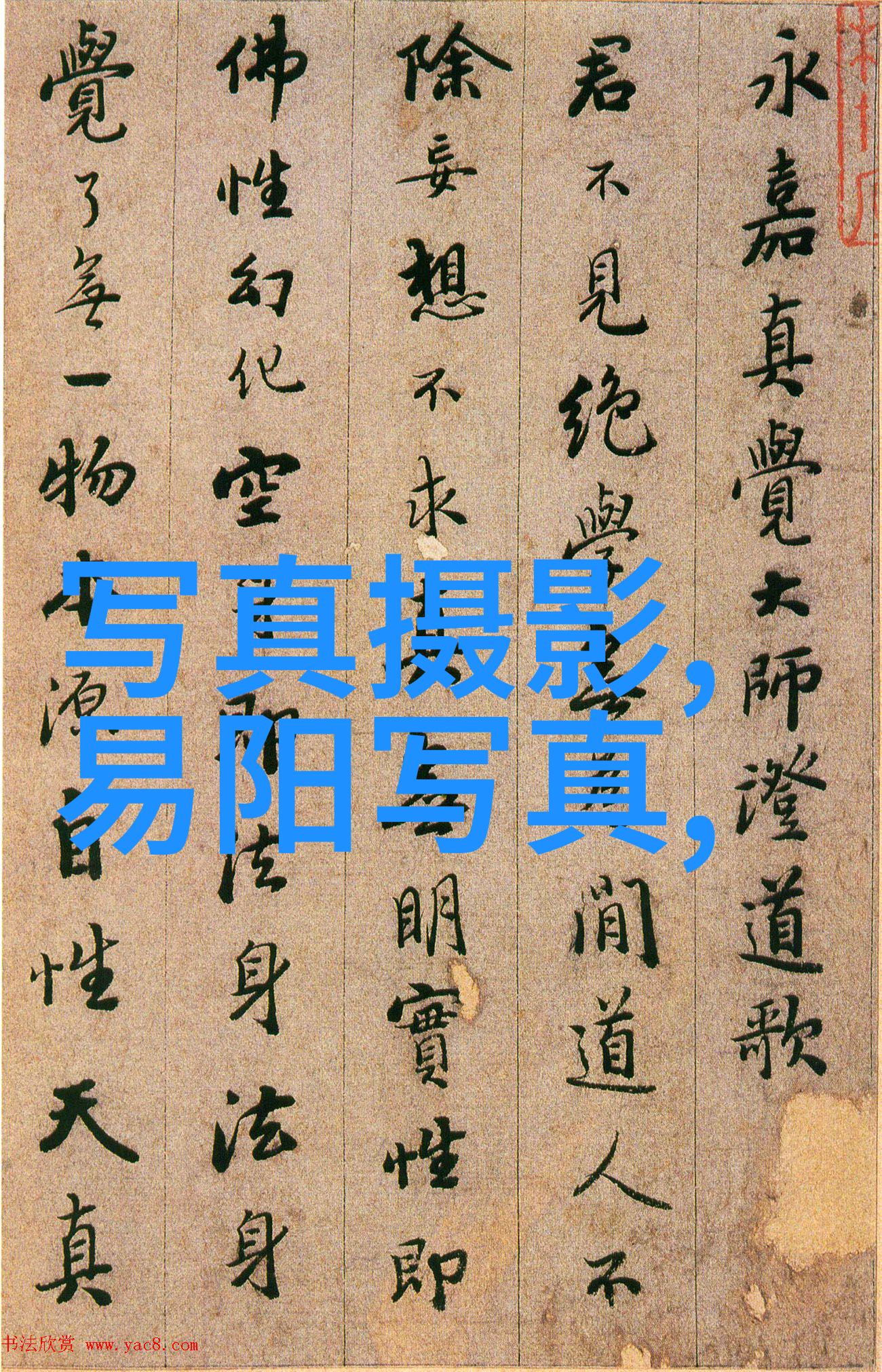 镜头下的对比捕捉光影的双重奏鸣