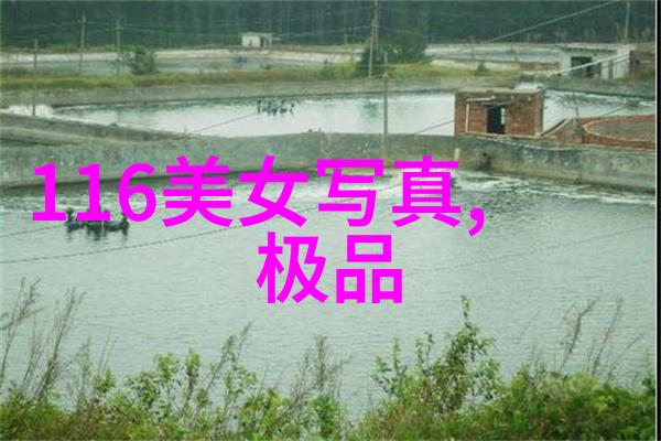 超越极限笑料连连挑战者们的荒唐冒险