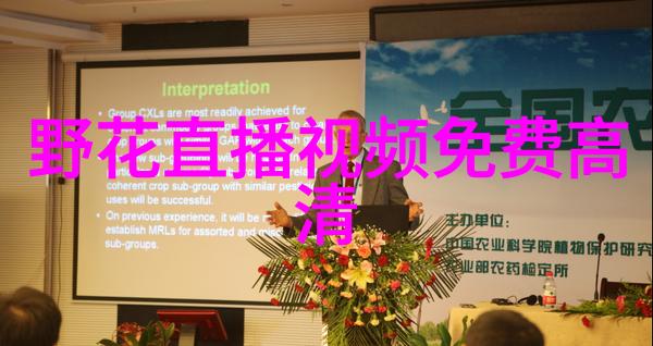小小影视 - 梦想大片探索中国新一代青年导演的创作世界