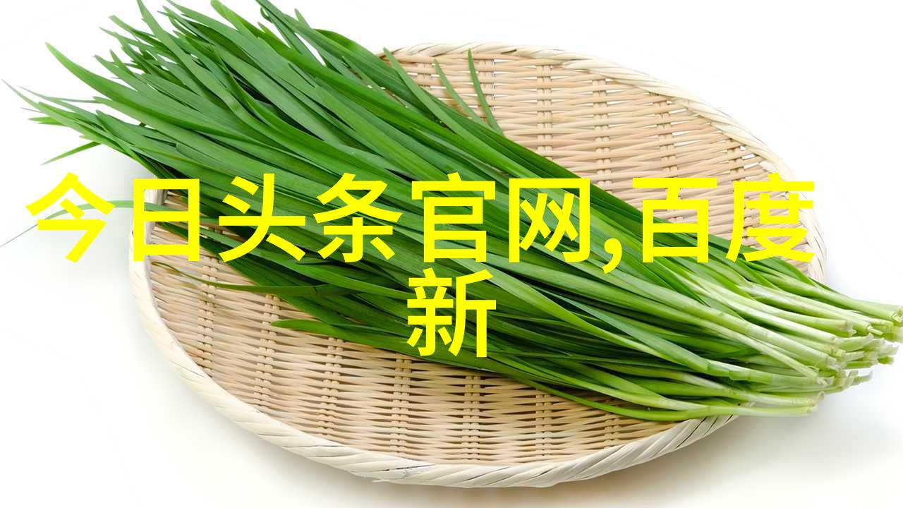 两岸共建跨境铁路项目正式启动未来看好发展潜力