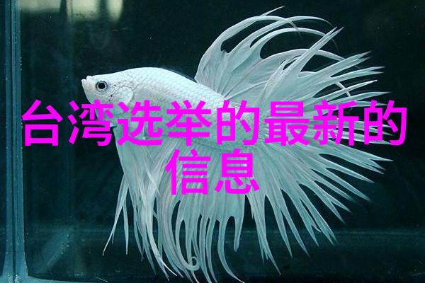 隐秘的角落再度绽放 张婉儿领衔普普迎众望 汪峰连败5次自然之声被掩