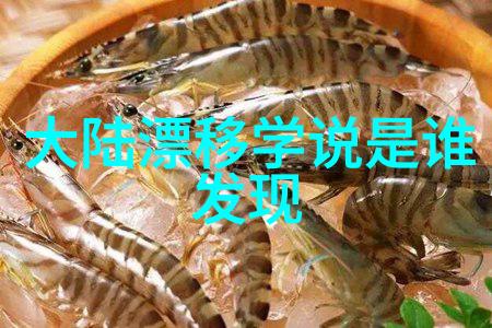 EXO成员的娱乐生活探索他们在综艺节目中的魅力与趣味