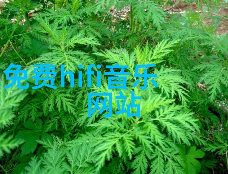 借钱与债务陷阱娱乐圈的人们应该怎么办