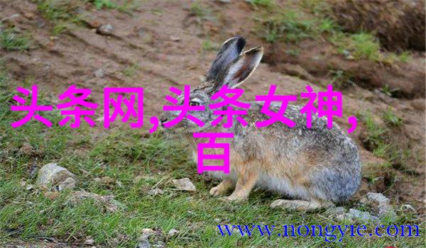 十二月的天际探索出生于26日的星座特征与个性
