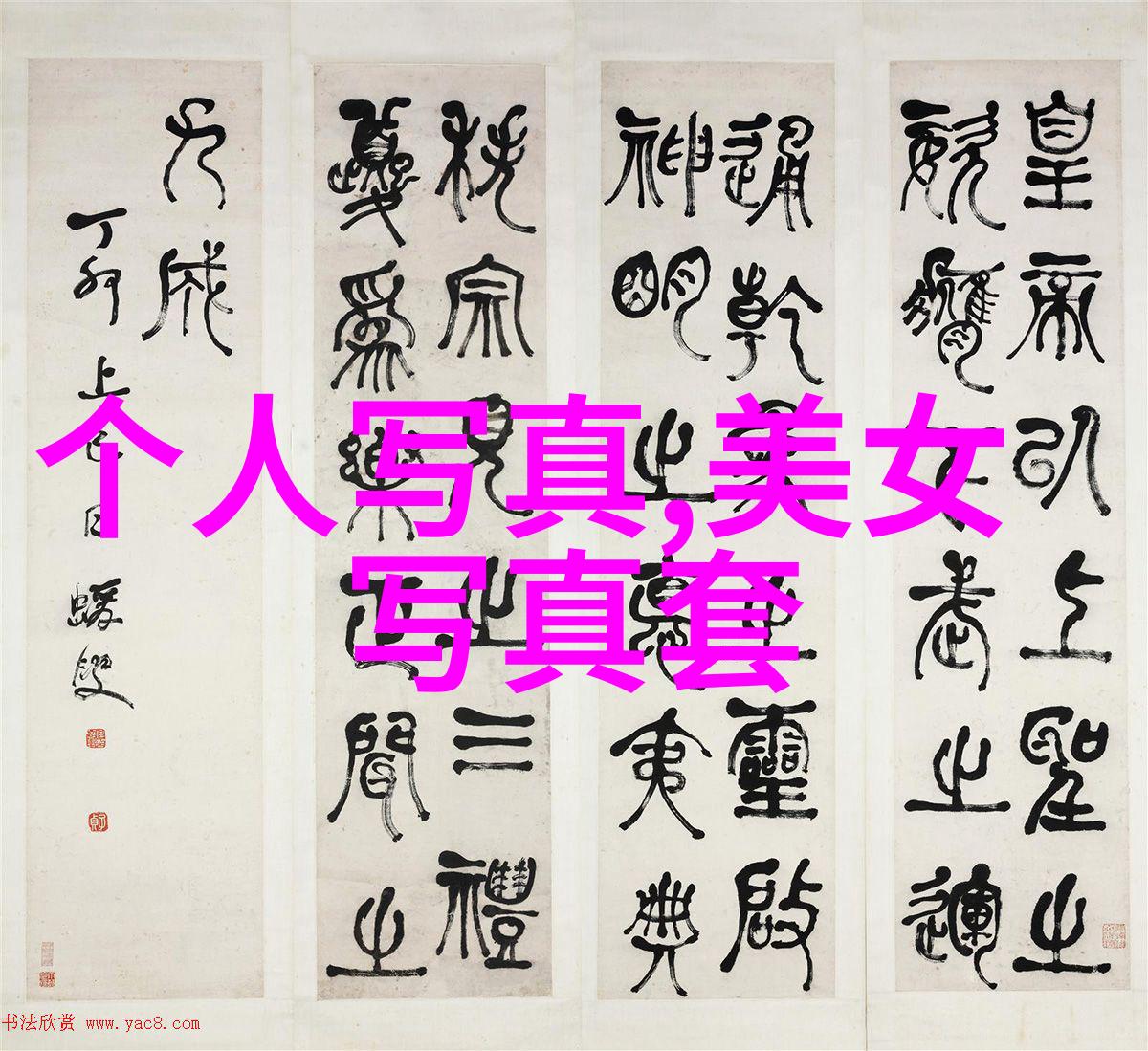 镜头背后的影子世界残酷的隐秘面纱