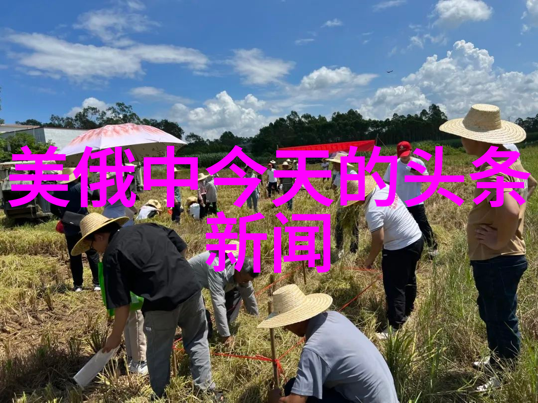 从蠢到萌从梦到现实我的电视剧之旅