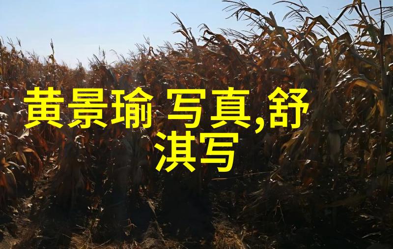 三在八卦里代表什么-解密古秘三元相生的奥义与宇宙之谜