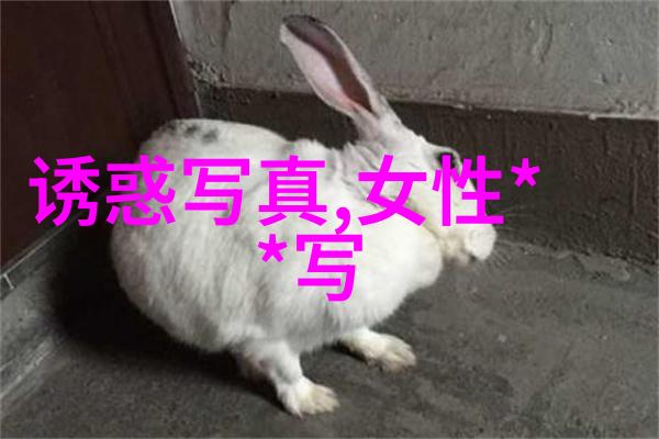 电影院小放映三级电影的温馨回忆