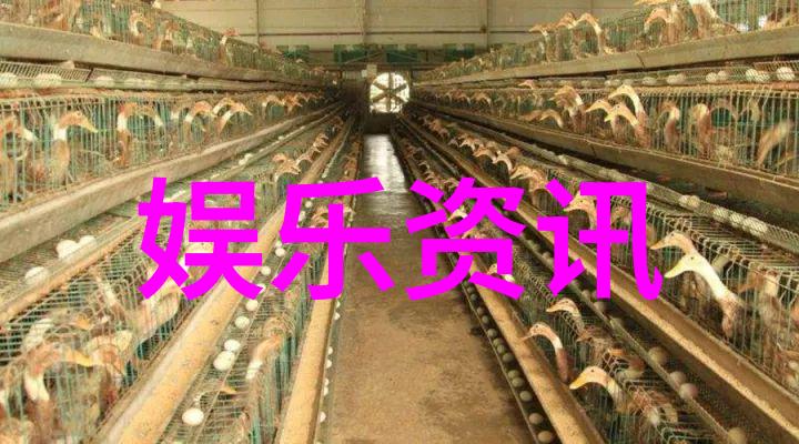网红雪梨面相时尚美妆博主的冬日清新妆容