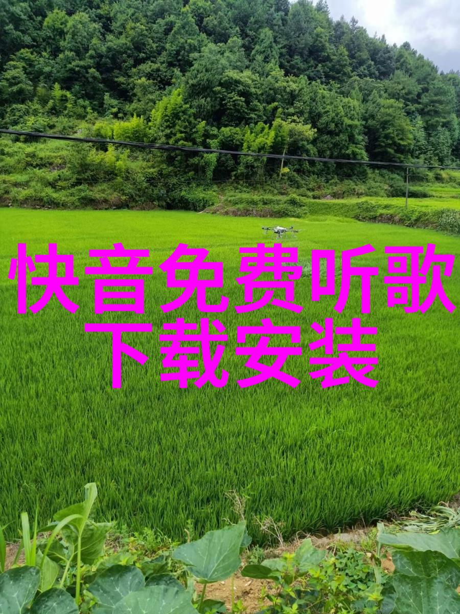 2010年10月24日徐一帆的侬好我的东北女友开播欢喜冤家斗得你我眼红