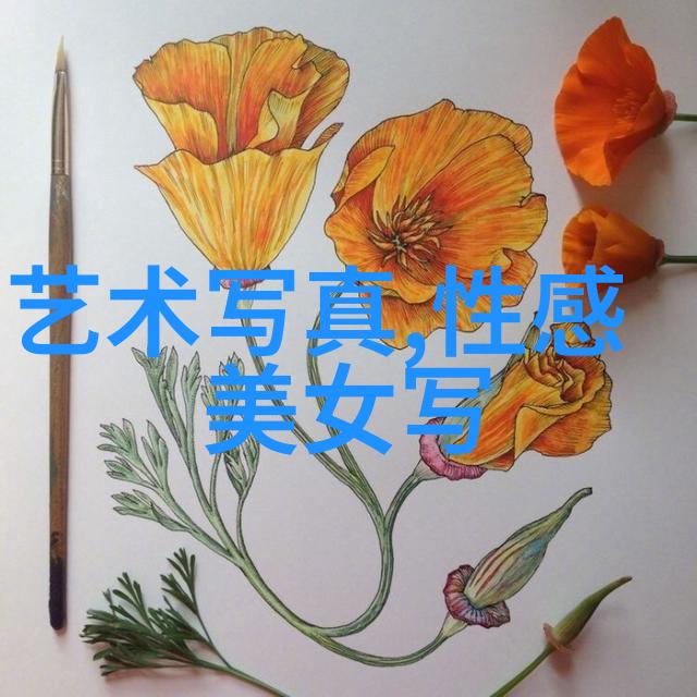 向着幸福前进 电视剧-追逐梦想的旅途向着幸福前进电视剧观后感