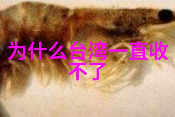 东京恋爱舞台偶像闪耀与真心话大冒险齐聚一堂