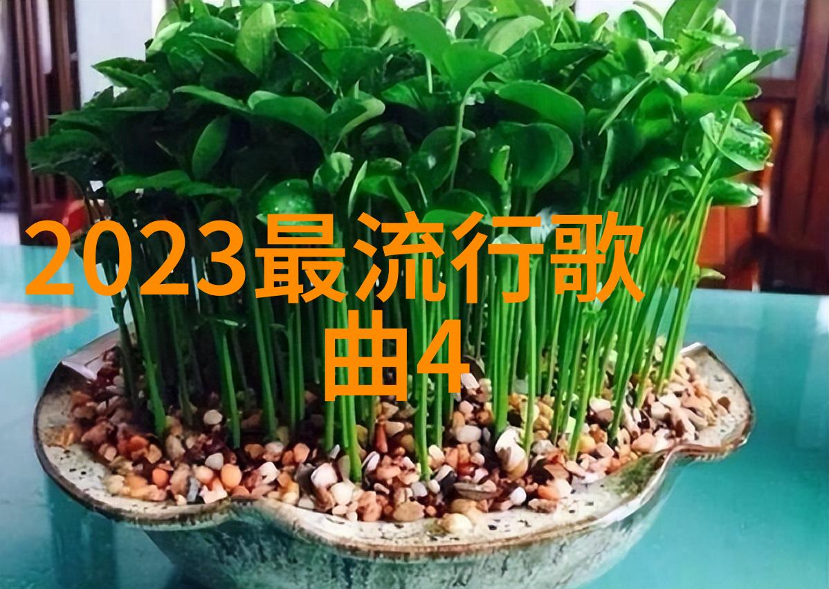 奇异剧本鲨综艺免费观看的新宠