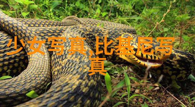 今日学术界瞩目的发现新一代绿色能源技术突破