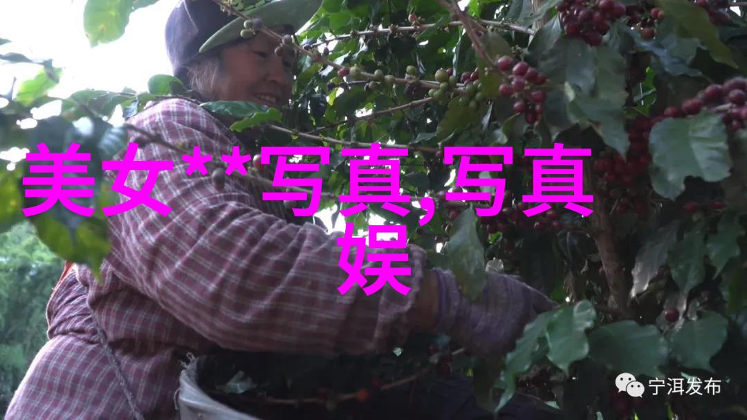 从每一帧到心灵深处解锁好看照片背后的故事