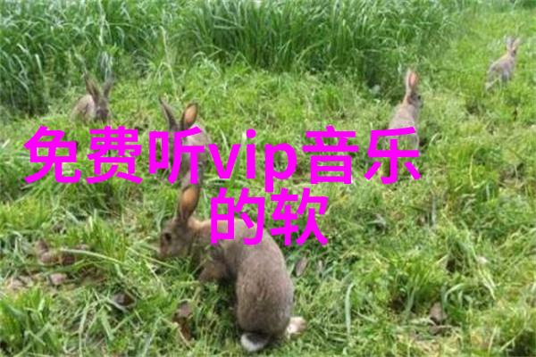 我和315che的故事我是怎么在315che上找到了我的小确幸的
