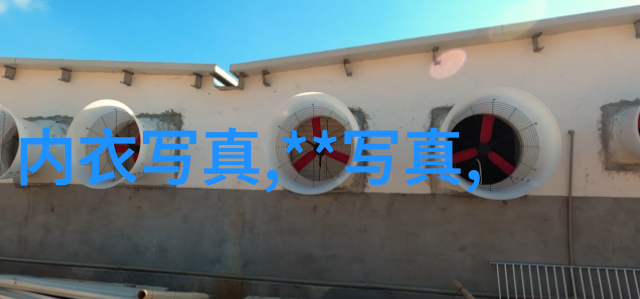 刘涛在这次与韩雪相伴的小冒险中学到了什么新东西