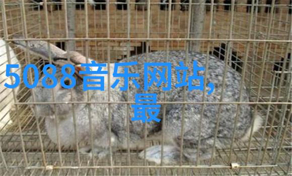 新闻爆炸揭秘首发财经奇迹