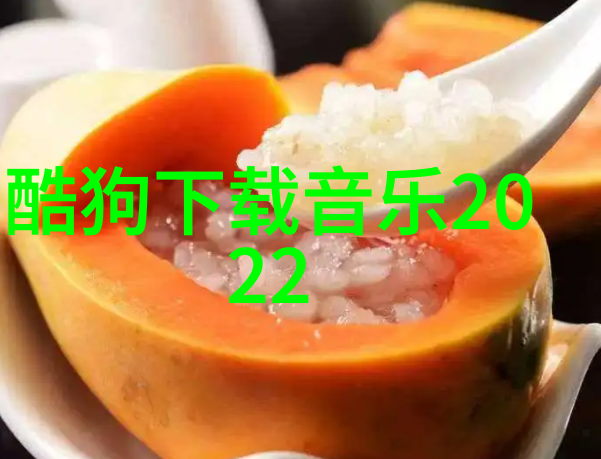 聚会的秘密南波万综艺再现