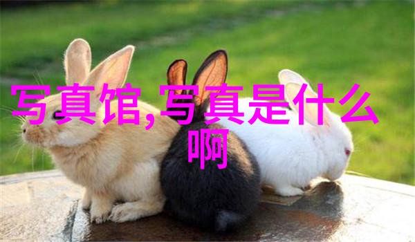 见一次面做3次超详细我俩聊完天就像变魔术一样记忆一片混乱但每个字都清清楚楚