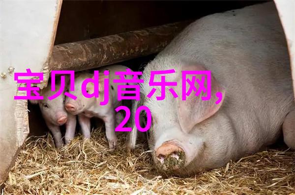 视觉语言学家在制作漂亮图片大全大图时我们如何运用视觉元素传递情感和信息