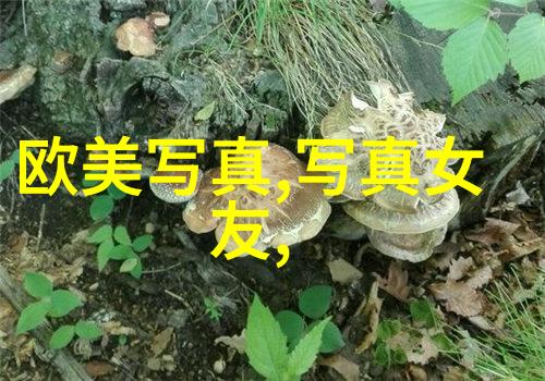 在云端的边缘Pans写真中的幻影与真相是怎样的