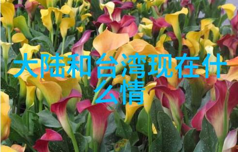 生活加分剧情不停歇我的小确幸电视剧