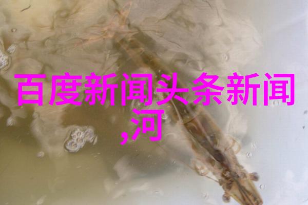雪梨网红老公原来你是来偷懒的
