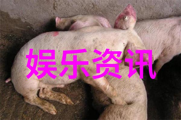农村网红排行榜前十名究竟谁是当红小生