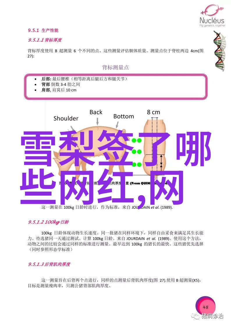 亲子之谜冯绍峰的解惑