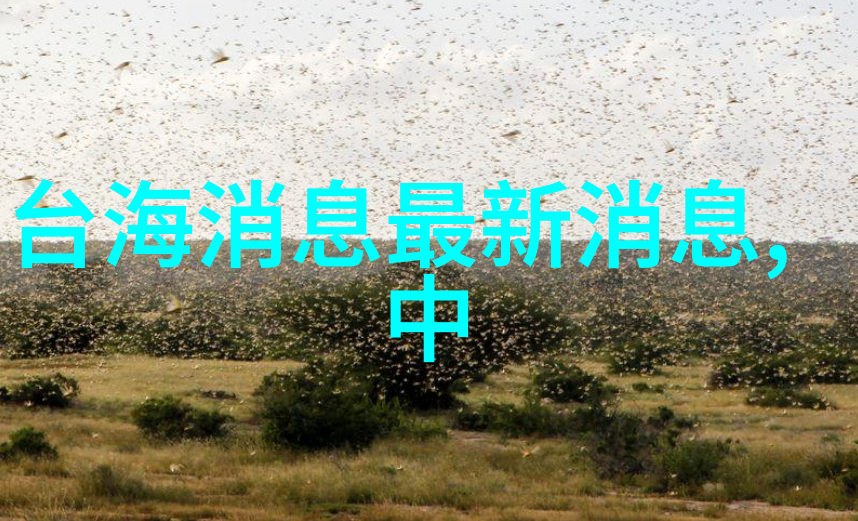 还剑奇情录-幻影之刃与星辰的誓言