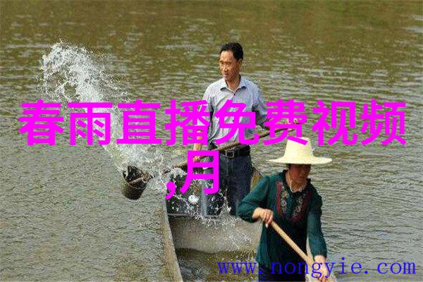 音乐节上空飘扬的梦想亚洲流行音乐奖揭晓入围名单