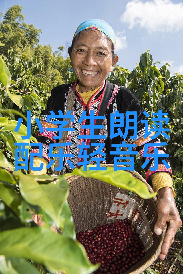 肖战杨紫青春偶像的浪漫故事