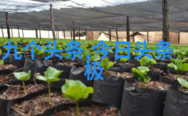 台湾最新动态政治经济与疫情最新消息速报