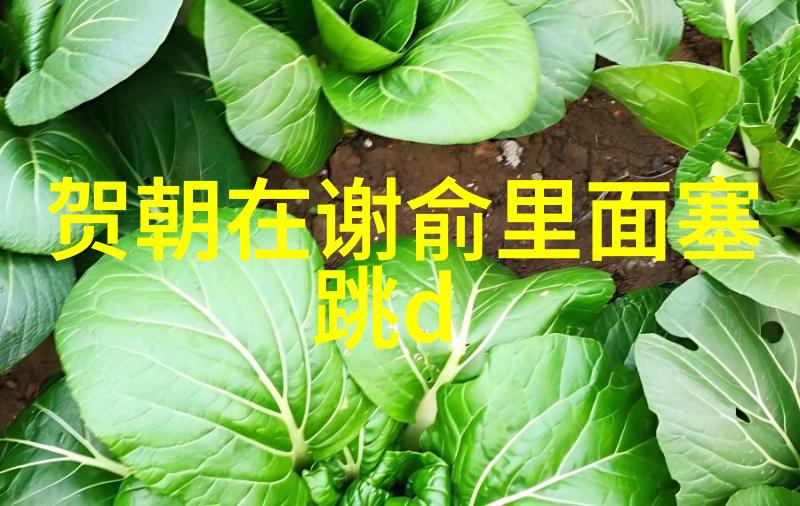 影视新势力探索国产电影行业的未来趋势